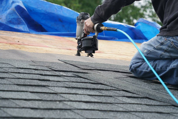 Best Roof Gutter Cleaning  in Experiment, GA